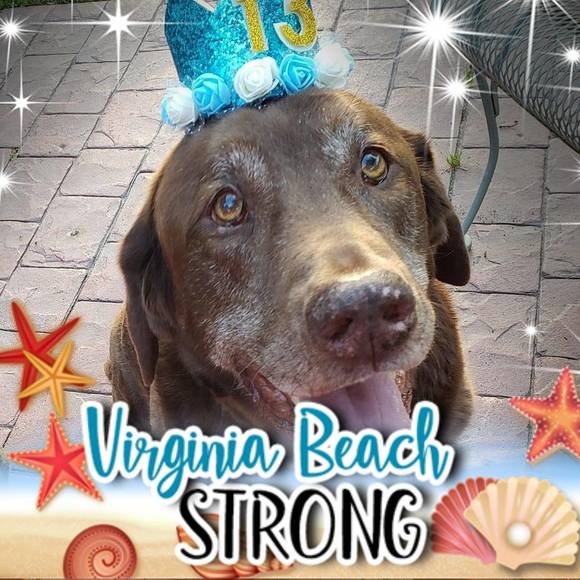 Meet your Posher, Barbara - Picture 1 of 1